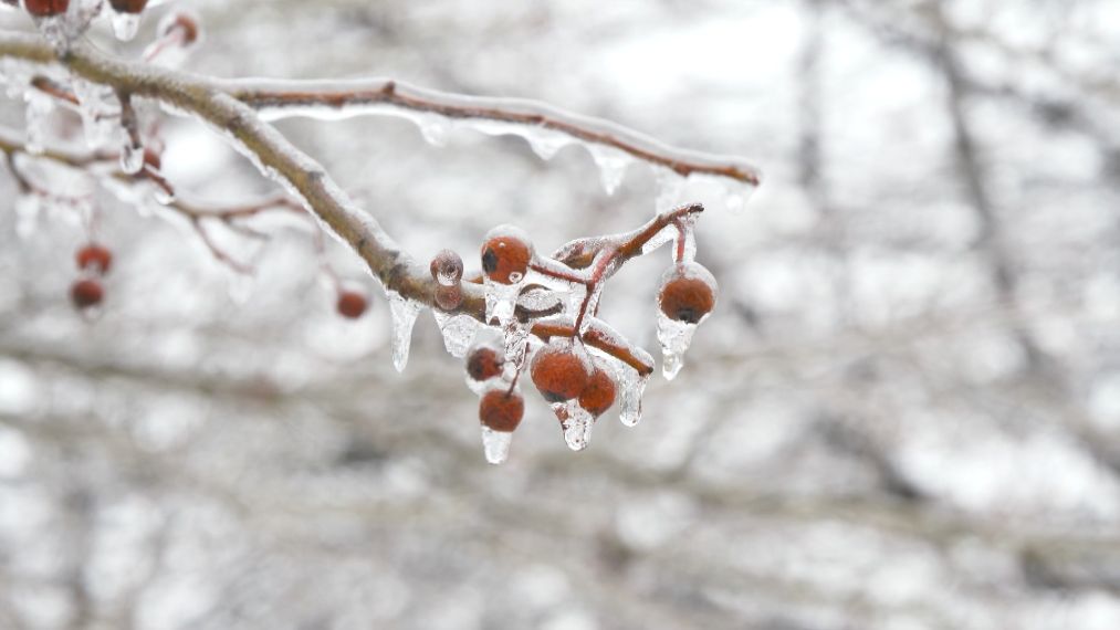 Na několika místech v Česku dnes mrzlo, padly teplotní rekordy